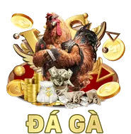 Biểu tượng quan sát tình trạng gà