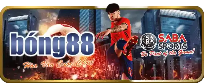 Cá cược trực tiếp tk66